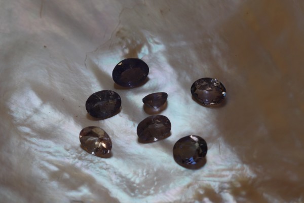 Feinste Tansanite - in unterschiedlichen Größen - oval - Lot mit 2 ct. - EDEL